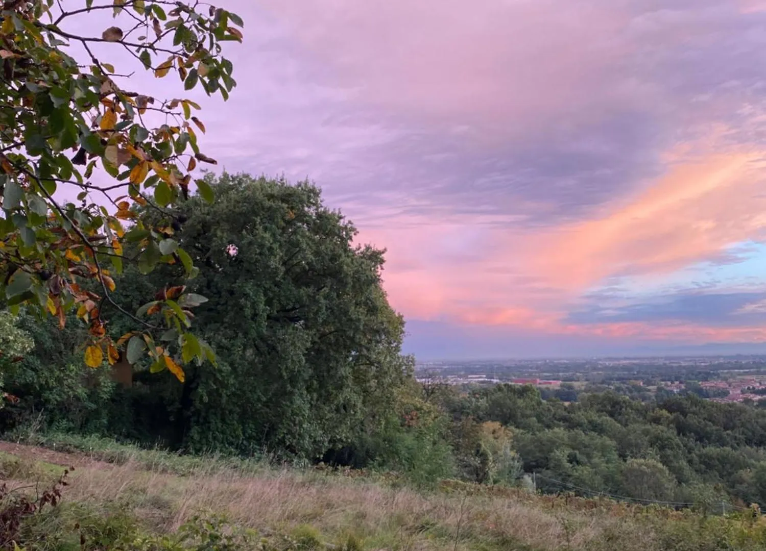 La Quercia E Lo Scoiattolo Bed & Breakfast Sotto il Monte Italy
