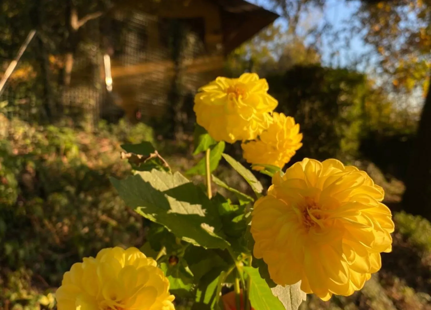 La Quercia E Lo Scoiattolo Bed & Breakfast Sotto il Monte