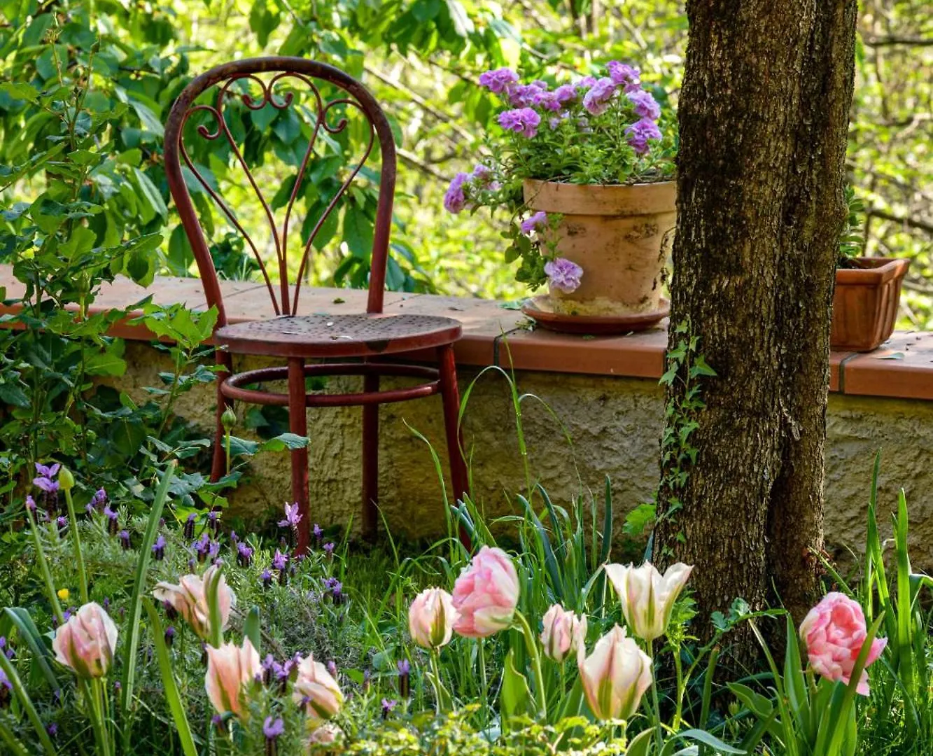 La Quercia E Lo Scoiattolo Bed & Breakfast Sotto il Monte