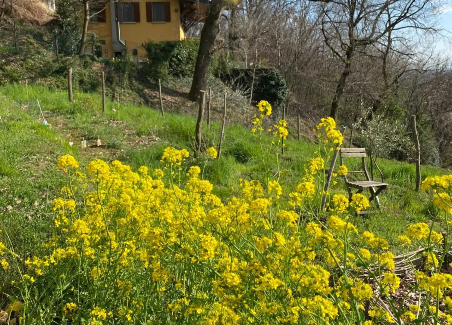 La Quercia E Lo Scoiattolo Bed & Breakfast Sotto il Monte 0*,