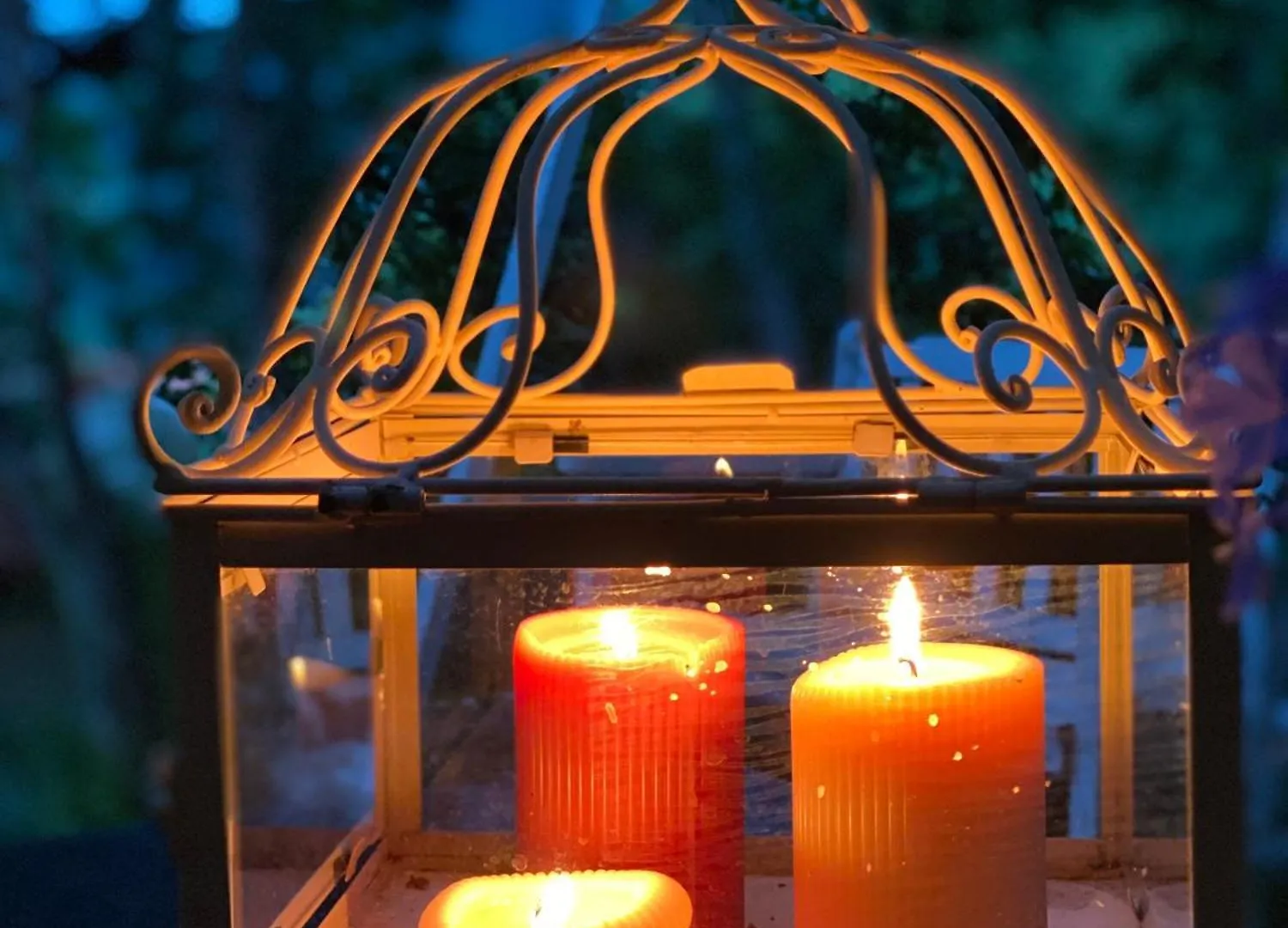 La Quercia E Lo Scoiattolo Bed & Breakfast Sotto il Monte