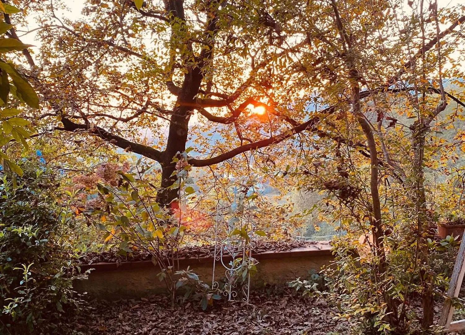 La Quercia E Lo Scoiattolo Bed & Breakfast Sotto il Monte Italy