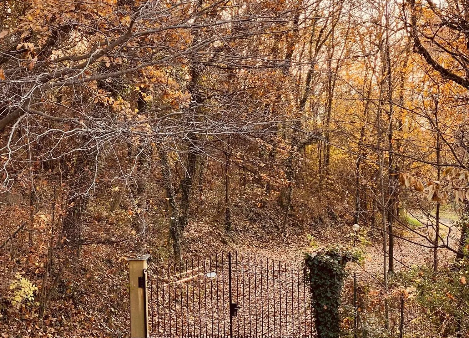 La Quercia E Lo Scoiattolo Bed & Breakfast Sotto il Monte Italy